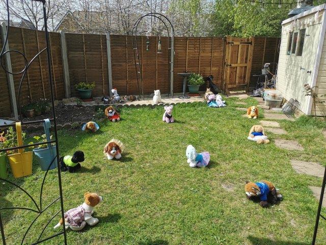 Social Distancing Play Date